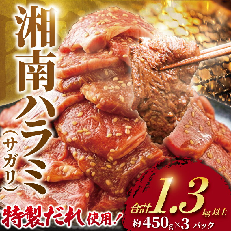 【ふるさと納税】 ハラミ タレ漬け 計 1.3kg 以上 ( 約450g × 3 パック ) はらみ 牛 牛肉 肉 お肉 焼き肉 焼肉 タレ 味付 牛ハラミ さがり サガリ ビーフ おいしい やわらかい 美味 niku 小分け 大容量 個包装 簡単調理 BBQ おかず 冷凍 タカギフーズ 神奈川 湘南 藤沢