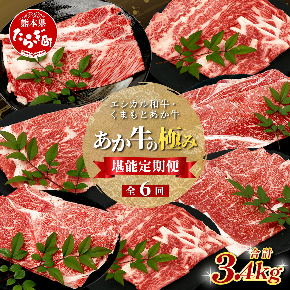 【ふるさと納税】《定期便6回》エシカル和牛・くまもとあか牛《あか牛の極み 堪能》 定期便 (合計 3.4kg) 肩ロース バラ モモ カタ 焼肉 すき焼き しゃぶしゃぶ 熊本 あか牛 牛肉 小分け 和牛 定期便 SDGs ブランド 牛 熊本県産 熊本 冷凍 九州産 国産 送料無料