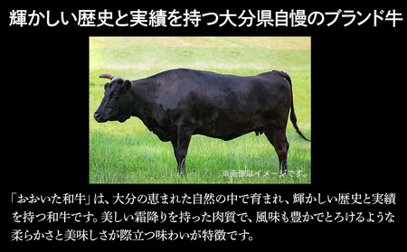 おおいた和牛焼肉カルビ・錦雲豚角煮セット カルビ800g 角煮400g 牛肉 和牛 焼肉 焼き肉セット 大分県産 中津市
