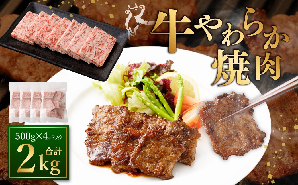 
            牛やわらか焼肉 500g×4パック 計2kg 焼肉 焼き肉 牛 肉牛 冷凍 熊本県 あさぎり町
          