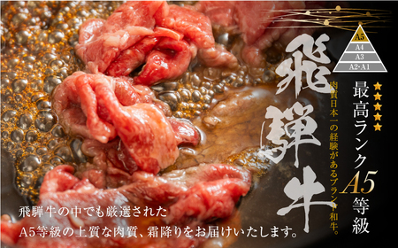 トキノ屋食品 A5等級 飛騨牛切り落とし 400g 6回お届け定期便[mt405]