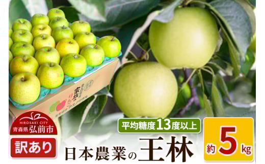 りんご 【先行受付】平均糖度13度以上！ 王林 約5kg 訳あり