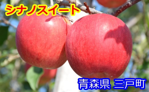 
            りんご【シナノスイート】約5kg（12～20玉）【2025年産・先行予約】★2025年10月中旬～11月中旬頃まで発送予定★ 青森県三戸町産
          