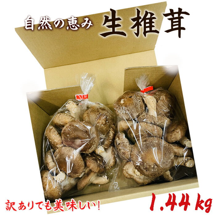 【ふるさと納税】No.468 訳ありでも美味しい！自然の恵み生椎茸1.44kg ／ しいたけ 野菜 煮物 鍋 栄養 送料無料 埼玉県