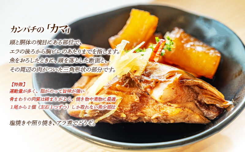 W-0102／垂水カンパチ『海の桜勘』 カマ 8個（計1.6kg以上）