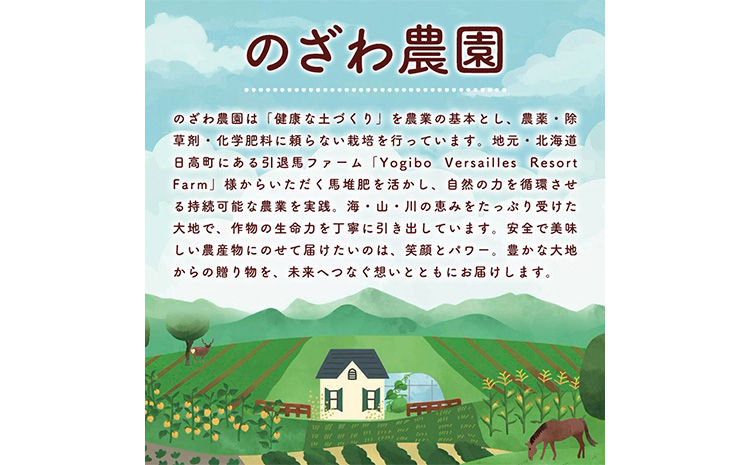 【2026年発送 先行予約 】フルーツ ほおずき 太陽の子 約500g のざわ農園《9月上旬-10月末頃出荷》北海道 日高町 希少 ホオズキ---hohdk_nn_5_500g---