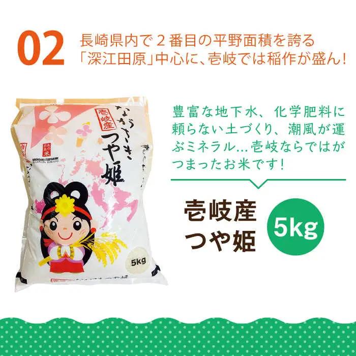 壱岐産 つや姫 5kg・旬の野菜 5品[JBO003] 野菜 米