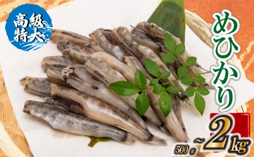 
            【高級】特大めひかり 500g～2kg メヒカリ 干物 寒風 天日干し 魚 カルシウム 冷凍 産地直送 ご飯のお供 漁師 おつまみ 高知県 須崎市
          