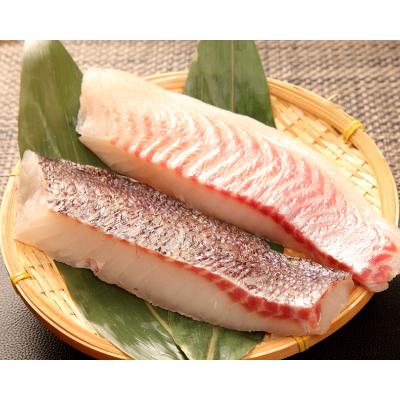 ふるさと納税 沼津市 トロのような脂ノリ!沼津産さしみ用マダイ(皮引き柵)約130g×4袋