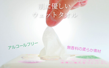 抗菌 消臭 保湿 ウェットタオル 大判（20cm×30cm）厚手 さわやかたおるちゃん （32枚入×15個）  合計480枚 介護 清掃 国産 アルコールフリー 無香料【SPC】
