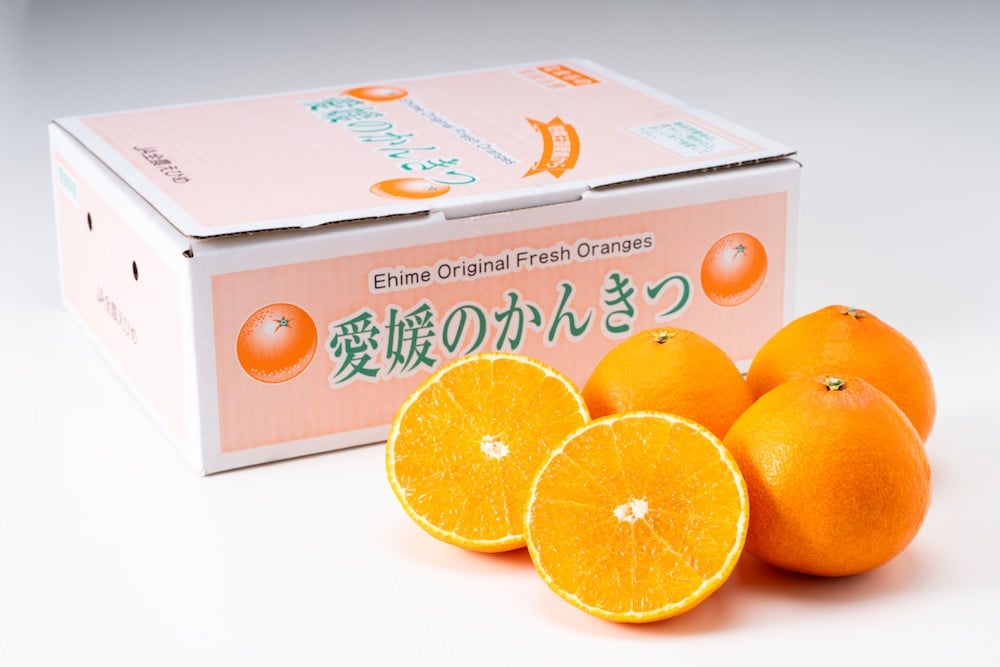 一玉ずつ大切に、専用の化粧箱に詰め合わせてお届けします。