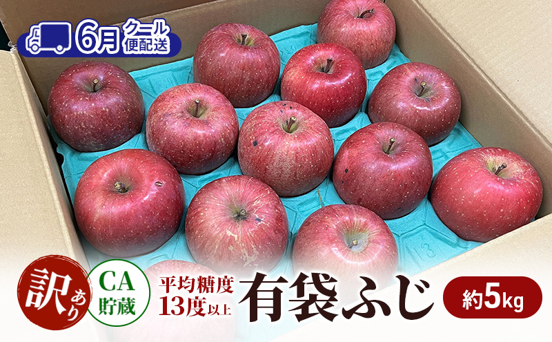 【6月 クール便配送】雪国鮮度をと閉じ込めた りんご 【糖度13度以上で選果】CA貯蔵 訳あり 有袋ふじ 約5kg リンゴ 果物 青森県 鶴田町