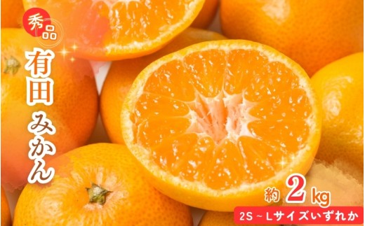 秀品 有田みかん 2kg 2S～Lサイズのいずれか【uot835A】