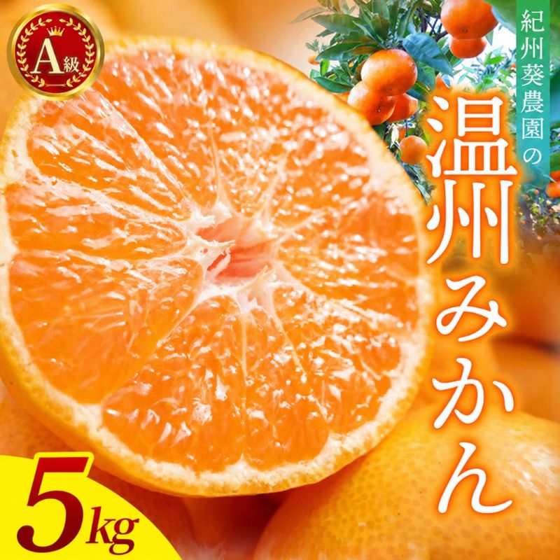 【ふるさと納税】＼先行予約／ A級 温州みかん　5kg（2S～lサイズ混合）【2026年11月上旬頃より順次発送】 / 温州ミカン ミカン カンキツ オレンジ 和歌山 田辺市 紀州 くだもの 柑橘 フルーツ