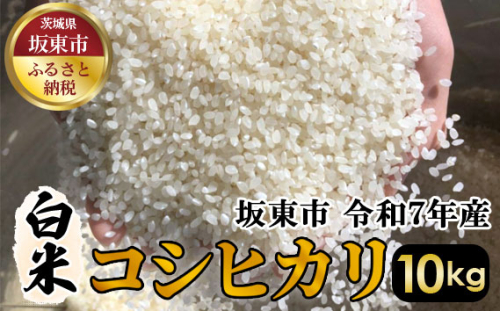 No.404 白米　コシヒカリ10kg【令和7年産】 ／ おこめ こしひかり はくまい 茨城県