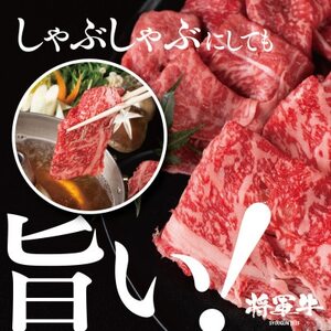 【将軍牛】特選すき焼きセット ロース もも 2種類 1kg【配送不可地域：離島】【1653568】