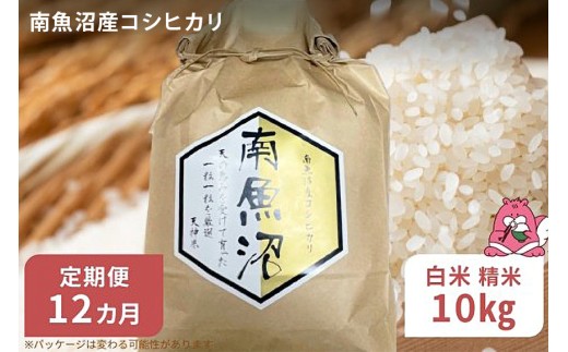 令和8年産 12か月定期便【白米10㎏/12回】越後湯沢産 南魚沼産 コシヒカリ 豪雪を源とする水の恵み【湯沢産 コシヒカリ】