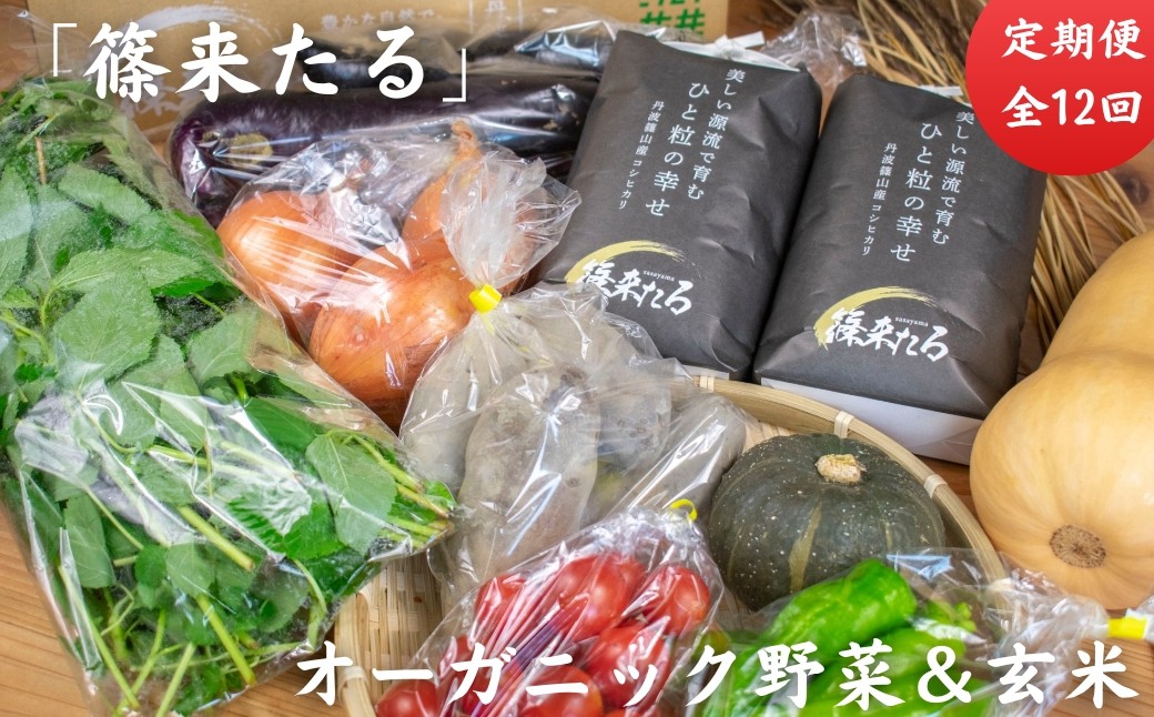 
                  【2025年10月以降順次スタート】「篠来たる」オーガニック野菜(7種ほど)と玄米２kgの定期便 ※3・4月農閑期のみ丹波篠山産の加工品　自然派 げんまい おいしい お米 コシヒカリ ブランド 健康 有機 人気 口コミ 関西 西日本
                
