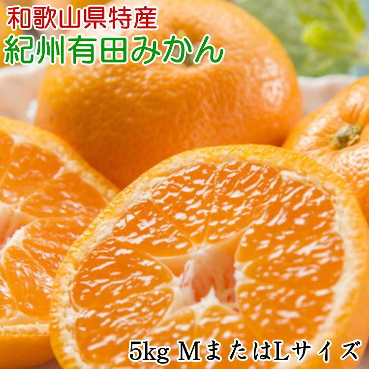【ふるさと納税】[秀品]和歌山有田みかん約5kg(MまたはLサイズ) ★2026年11月中旬頃より順次発送［TM98w］