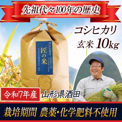 ふるさと納税 酒田市 栽培期間中農薬不使用 コシヒカリ 玄米 10kg 大粒LLサイズ以上厳選【令和7年産】