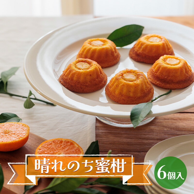 【ふるさと納税】サン・ラファエル 「晴れのち蜜柑」6個入 セット 焼菓子 ケーキ スイーツ 静岡 浜松市