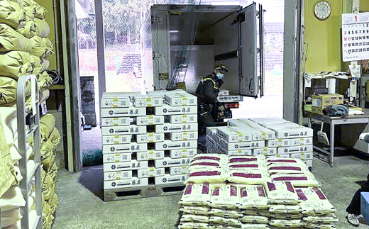 【定期便3ヶ月】美郷町産 きぬむすめ 10kg【定期便 3回定期 米 お米 精米 白米 ブランド米 きぬむすめ 5kg×2袋 10kg×3回 合計30kg 】