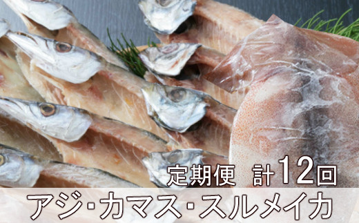 
            黒潮干物１１枚定期便【全１２回】 頒布会
          