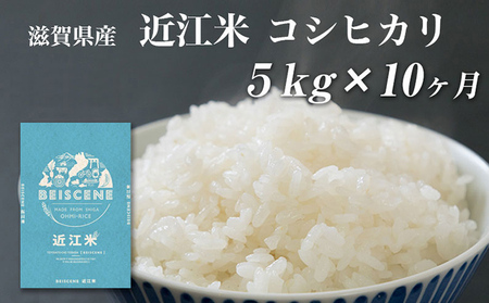 【定期便】令和7年産新米　滋賀県豊郷町産　近江米 コシヒカリ　5kg×10ヶ月 お米 白米 ごはん ライス 主食 炭水化物 おにぎり 
