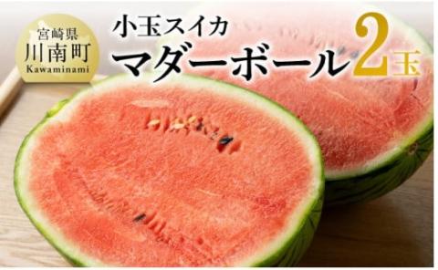 九州産すいか 小玉スイカ「マダーボール」２玉 【 数量限定 国産 宮崎県産 西瓜 フルーツ 果物 】[E10702]