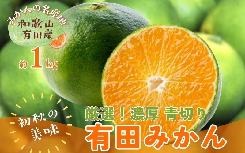 
            【先行予約】【2025年9月発送】特撰 青切り有田みかん 1kg ※北海道・沖縄・離島配送不可 / みかん ミカン 果物 フルーツ 柑橘 和歌山 有田みかん 青切 極早生 早生みかん【ard232】
          