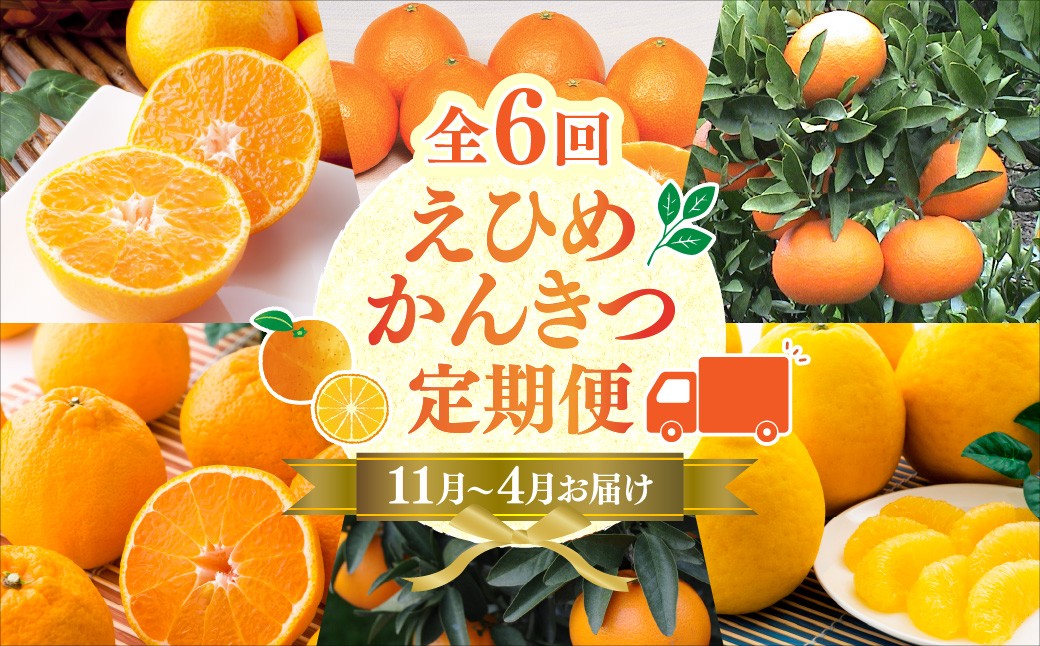 
                  ＜発送月固定定期便＞2026年11月発送開始　えひめかんきつ定期便　全6回 みかん 柑橘 定期便 6ヶ月 
                