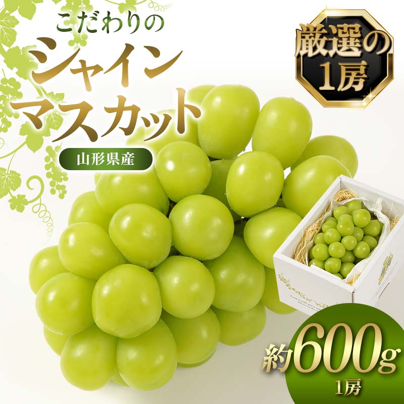 【ふるさと納税】 【先行予約（2026年9月より順次発送）】【厳選の1房】こだわりの シャインマスカット 約600g 山形県産 FSY-2534