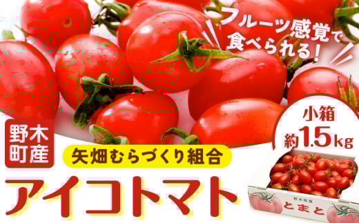 アイコ トマト 約1.5kg 小箱 栃木県 野木町産 矢畑むらづくり組合 《10月上旬-2025年6月下旬頃出荷》栃木県 野木町 トマト ミニトマト 野菜 新鮮