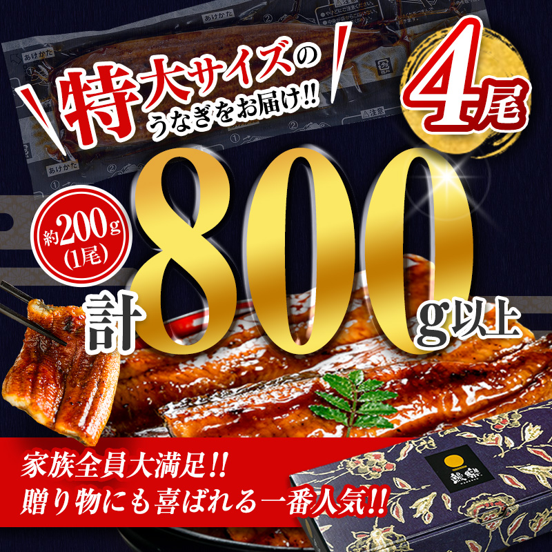 【1月5日受付終了】＜数量限定＞特大 うなぎ 定期便 国産 鰻 蒲焼 4尾 全3回 隔月（2026年1月 3月 5月お届け）合計2.4kg以上 魚介 贈答品 ギフト ウナギ 期間限定 鰻楽【E193】