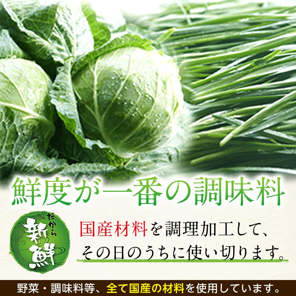【父の日当日にお届け】全て国産食材、銘柄豚使用！肉汁あふれる！【横浜大宝餃子】もちもち国産ジャンボ大宝餃子120個（30個×4）老舗餃子メーカー 横浜中華 焼餃子 冷凍餃子 ギョーザ ぎょうざ 大きい
