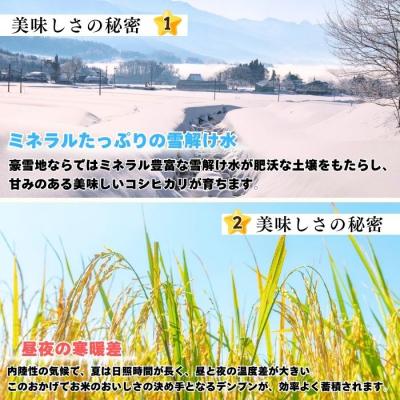 ふるさと納税 飯山市 【令和7年産】コシヒカリ〜木内ファームのお米〜 精米 10kg(10kg×1袋) |  | 01