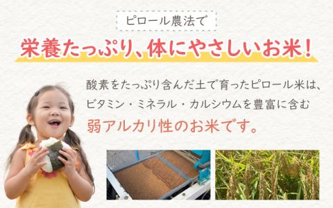 【令和5年産】【6ヶ月定期便】弱アルカリ性のピロール米 ミルキークイーン 玄米 10kg（5kg×2袋）×6回　 化学肥料5割以下・減農薬