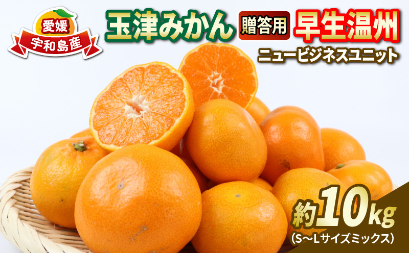 
                  贈答用 優品 愛媛 みかん 早生 温州 10kg S~L サイズ ミックス 玉津みかん ニュービジネスユニット 先行予約 早生温州 温州みかん 不揃い 果物 くだもの フルーツ 柑橘 蜜柑 mikan 愛媛みかん 農家直送 産地直送 数量限定 国産 宇和島 B018-058004
                