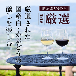 勝沼ぶどうの丘推奨ワイン 白赤セット  B-603【甲州 ワイン お酒 白ワイン 赤ワイン 甲州ワイン 日本ワイン お酒 人気 推奨 おまかせ ワイン フルボトル ワイン パーティー ワイン 家庭用 