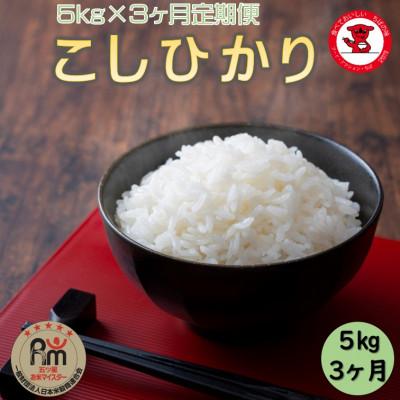 ふるさと納税 銚子市 【毎月定期便】千葉県産コシヒカリ 5kg全3回