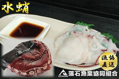 【北海道根室産】ボイル水たこ足先8P(計2.6kg) F-20003
