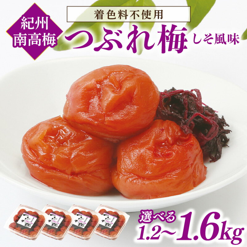 【ふるさと納税】紀州南高梅つぶれ梅　しそ風味 1.2kg 1.6kg ふるさと納税 梅干し ふるさと納税 うめぼし つぶれ梅 南高梅 しそ風味 梅 パック 小分け