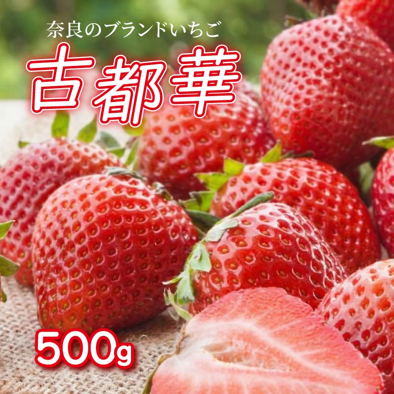 【ふるさと納税】 いちご ことか 500g 古都華 L~2L 数量限定 季節限定 苺 家庭用 いちご フルーツ 果物 デザート スイーツ 奈良県 奈良市 fuj01