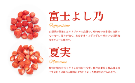 冷凍いちご 5袋詰合せセット｜いちご　イチゴ　苺　冷凍いちご　フローズン　