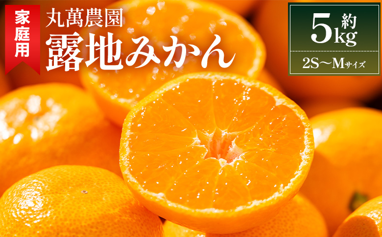 【2025年出荷分】訳あり 露地みかん(2S～Mサイズ) 5kg＋約100g (傷み補償分) 丸萬農園 - 果物 くだもの フルーツ 果実 柑橘 かんきつ 蜜柑 みかん ミカン 果汁 期間限定 家庭用 訳アリ キズ 傷 高知県 香南市 常温 mn-0004