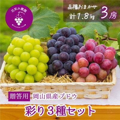 【ふるさと納税】岡山　花笑み農園のブドウ『彩り3種セット』贈答用　1.8kg (3房) 3M-2上_ ぶどう 彩り 3種 セット 食べ比べ 贈答用 1.8kg フルーツ 果物 岡山県 津山市 【配送不可地域：離島】【1695393】