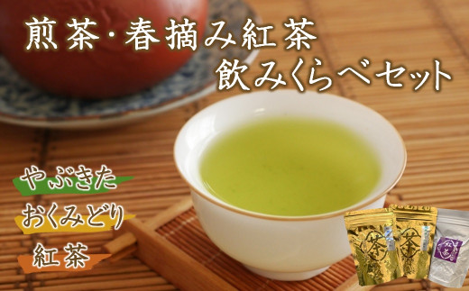 
【先行予約】【数量限定】蛍茶園煎茶・春摘み紅茶飲み比べセット190g 煎茶 緑茶 お茶 紅茶 詰め合わせ ギフト 熨斗対応
