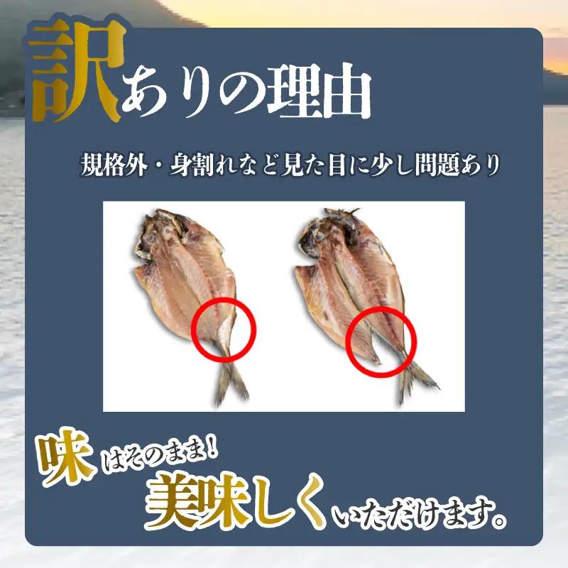 訳あり干物 3kg 詰め合わせ 沼津 ひもの 干物