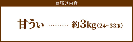 【2026年10月以降お届け】甘うぃ3kg箱_甘い キウイ 甘うぃ キウイフルーツ 3kg 国産 甘みの強い 果実 黄色味 福岡 オリジナル品種 濃厚 まろやか 高糖度 フルーツ 果物 ヨーグルト ス