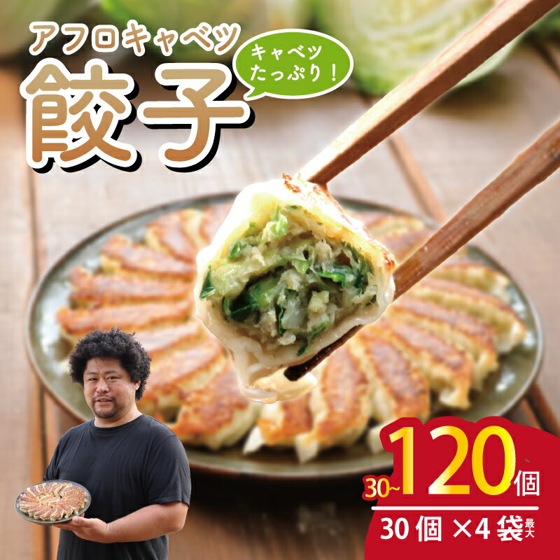 【ふるさと納税】 訳あり アフロキャベツ 餃子 30個～120個 ギョーザ ぎょうざ 冷凍餃子 きゃべつ 日本一 肉 汁 豚肉 国産 食品 小分け 大容量 キャンプ 野菜 贈答 プレゼント お取り寄せ ふるさと納税 ふるさと納税餃子 冷凍 送料無料 千葉県 銚子市 くるくるやっほー